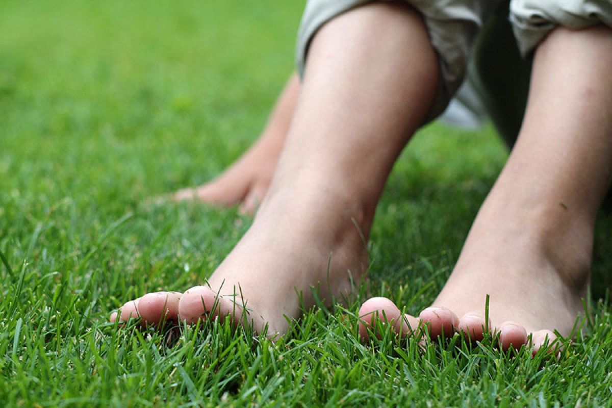 Asiantuntijan neljä vinkkiä – hoida nurmikko helposti vehreäksi