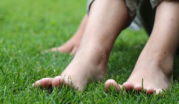 Asiantuntijan neljä vinkkiä – hoida nurmikko helposti vehreäksi Asiantuntijan neljä vinkkiä – hoida nurmikko helposti vehreäksi