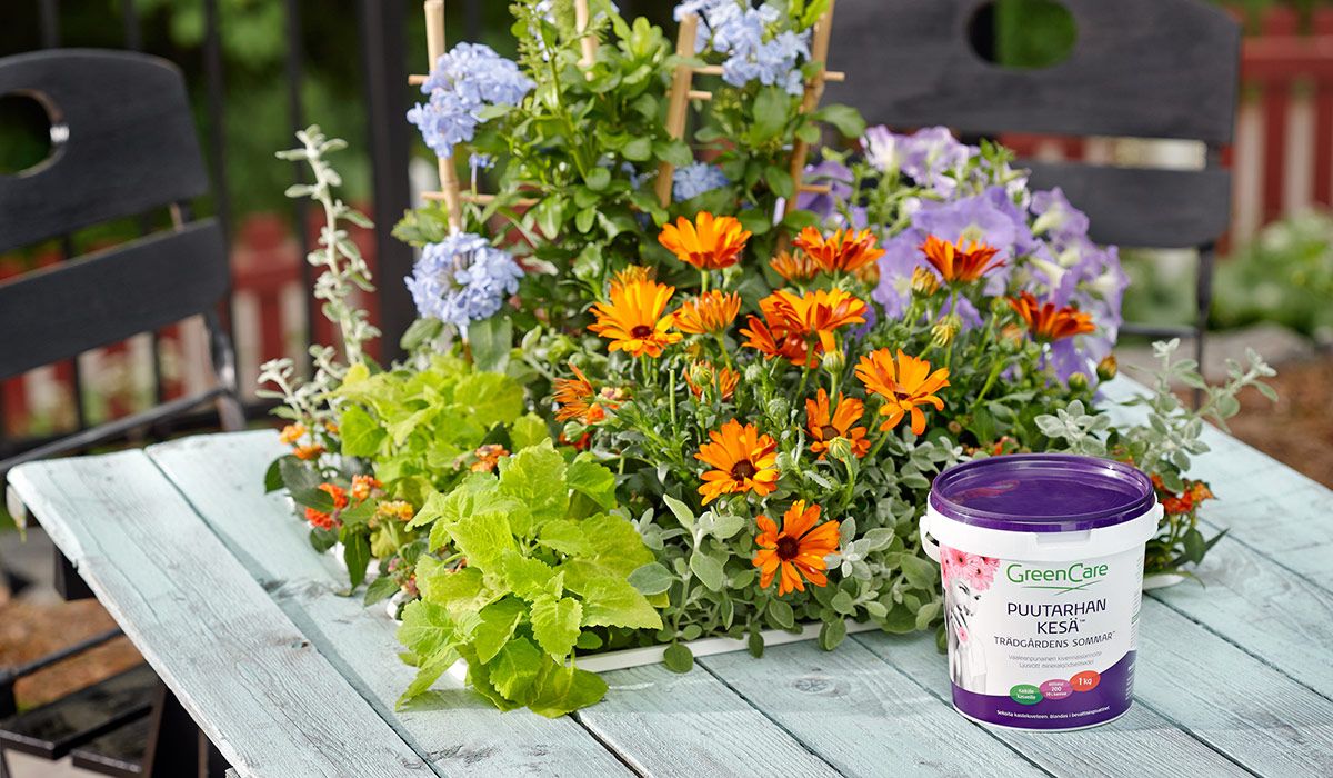 Kuva kesäkukista ja Puutarhan kesä lannoitteesta pöydällä